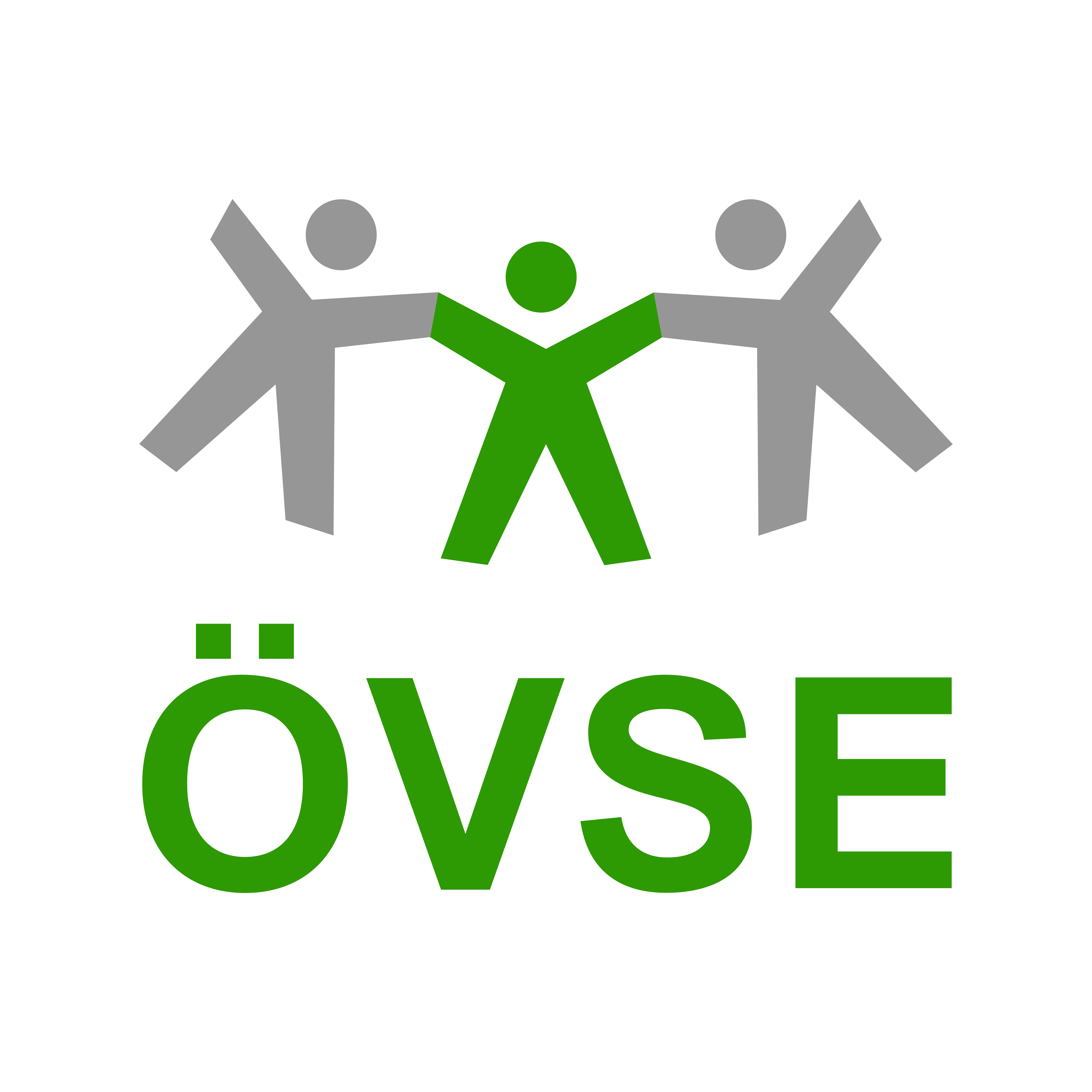 "Logo 'ÖVSE'"